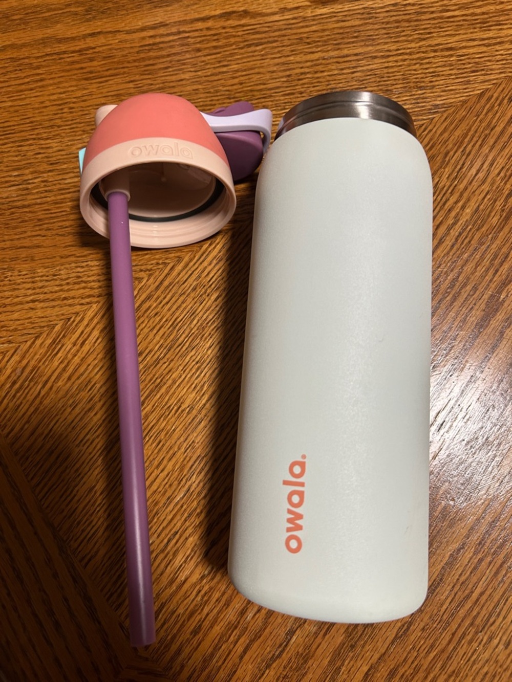 Owala Mint White & Pink Insulated Water Bottle with Straw Lid